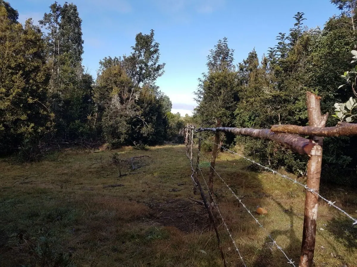 Puerto Varas — Vista 10