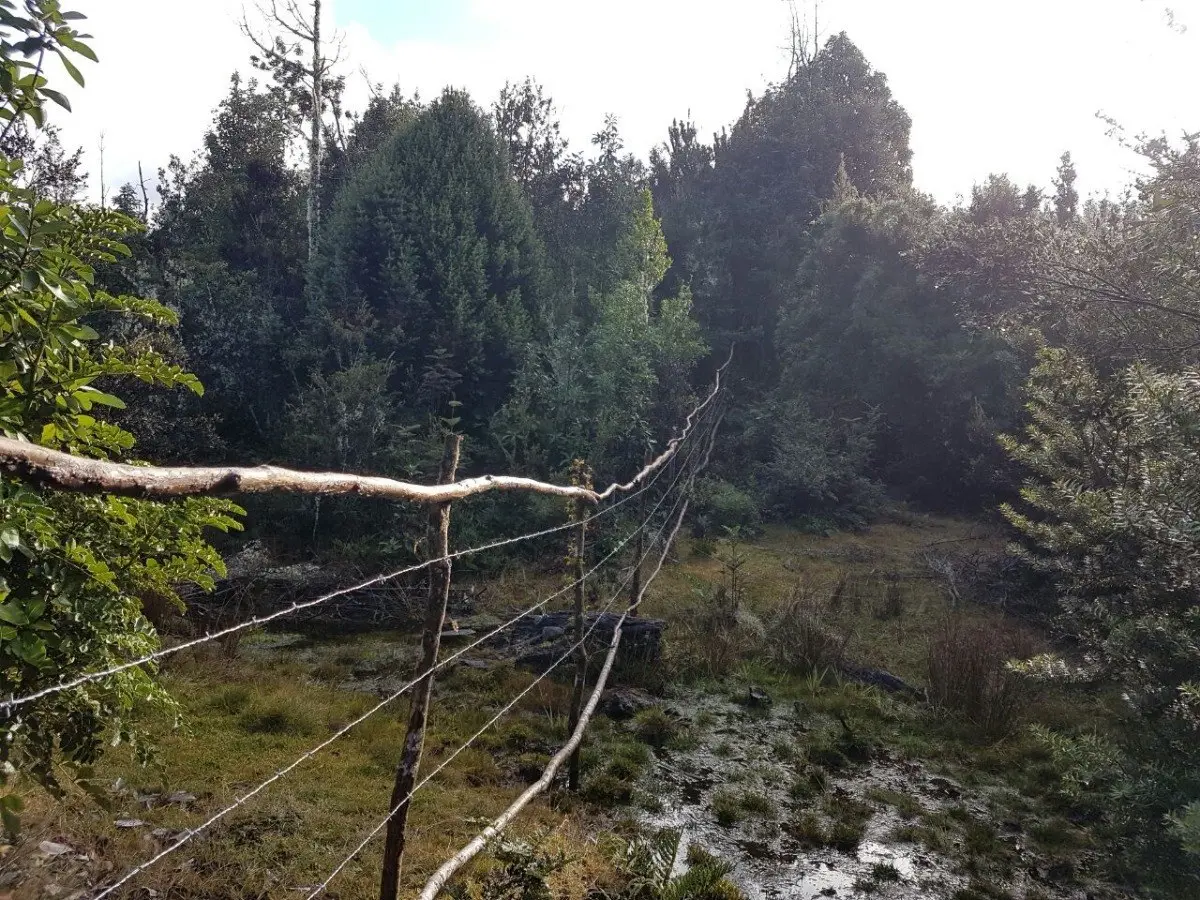 Puerto Varas — Vista 8